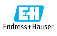 Endress + Hauser