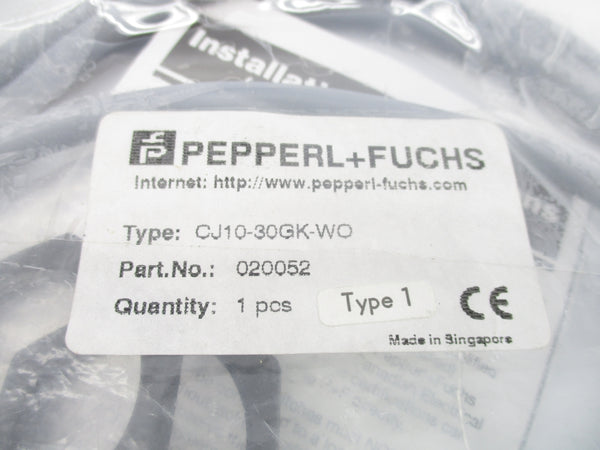 PEPPERL+FUCHS CJ10-30GK-WO 020052 NSMP