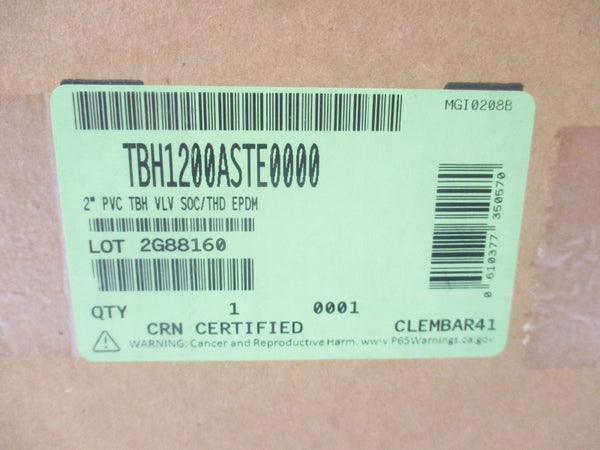 HAYWARD TBH1200ASTE0000 2" NSMP