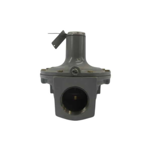 VALVE 289H-2 .5-2.25PSI NSNP