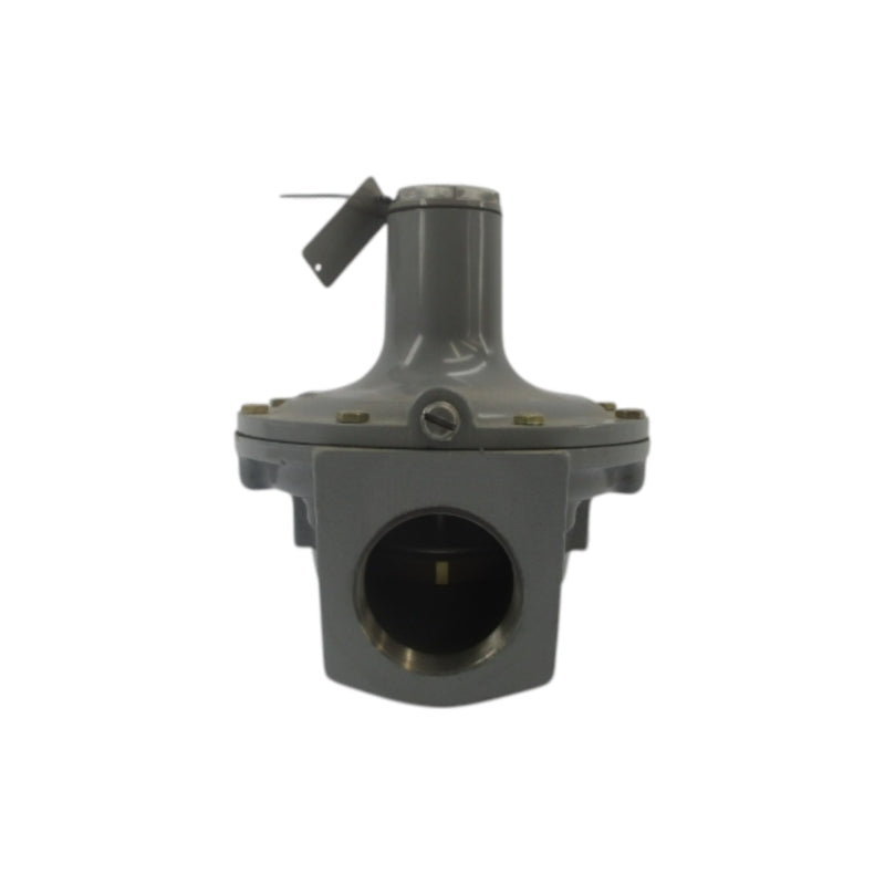 VALVE 289H-2 .5-2.25PSI NSNP