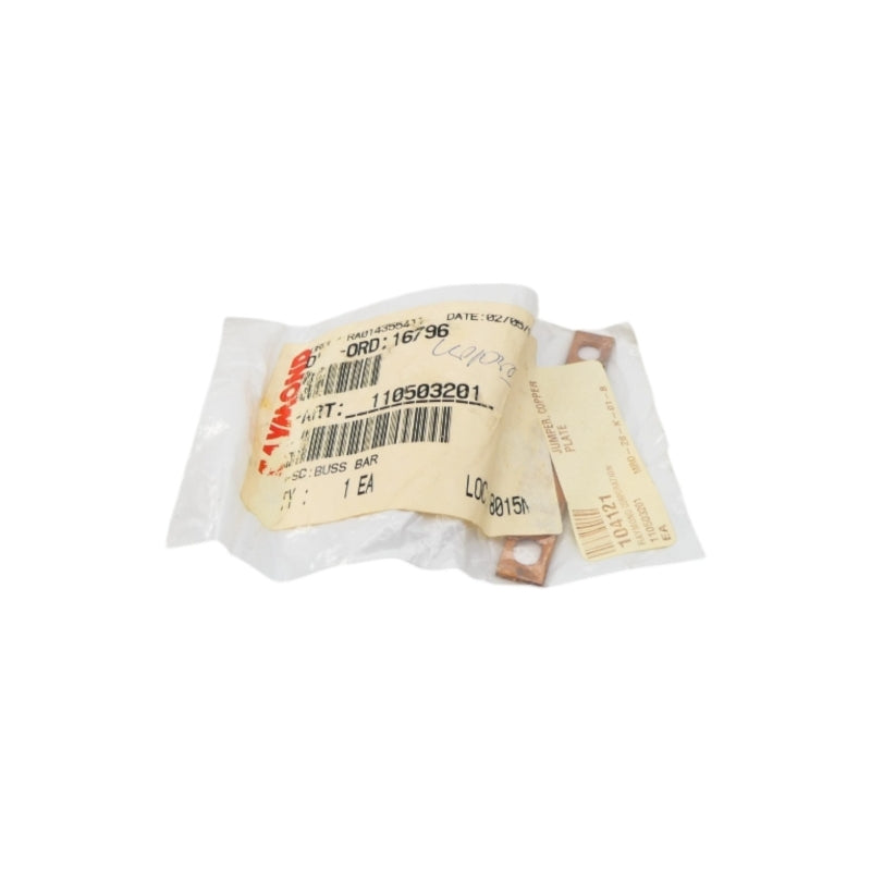 RAYMOND 110503201 NSMP