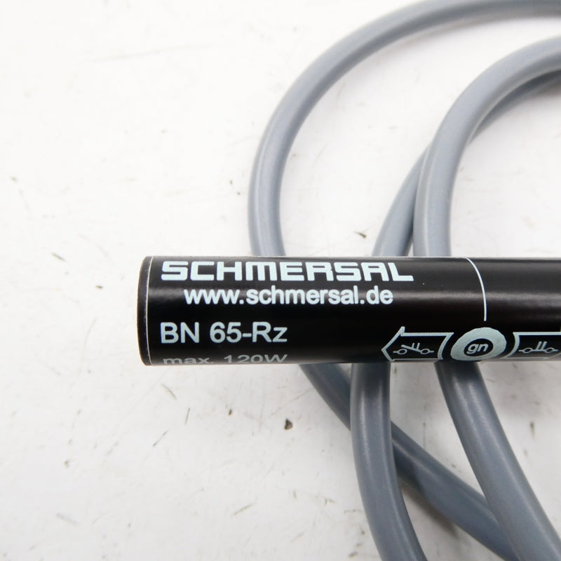 SCHMERSAL BN 65-RZ NSNP