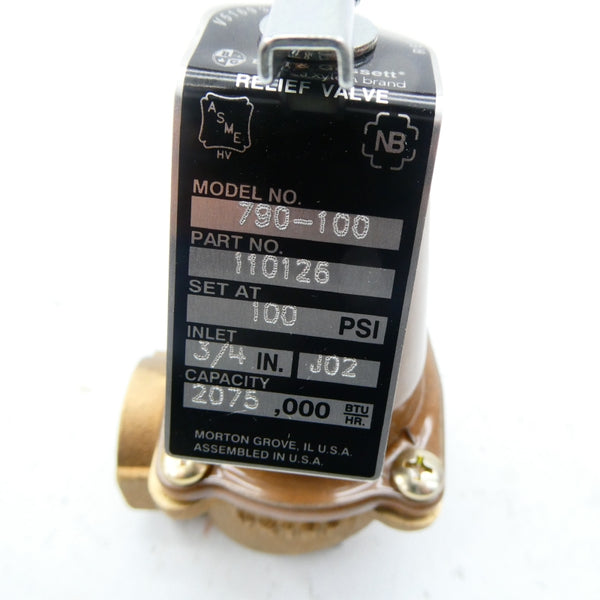 BELL & GOSSETT 110126 790-100 100PSI 3/4" NSMP