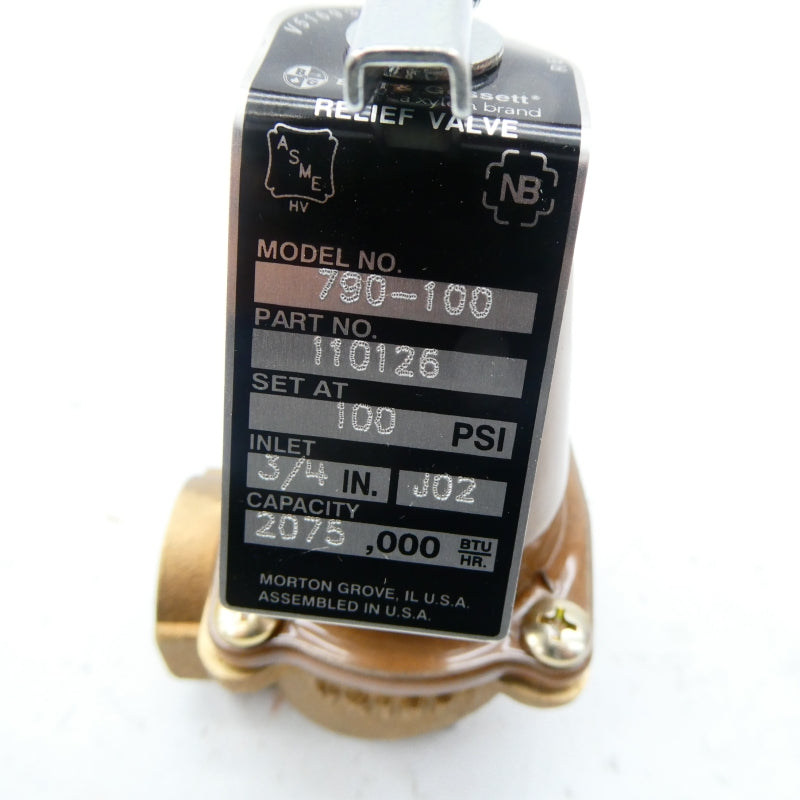 BELL & GOSSETT 110126 790-100 100PSI 3/4" NSMP