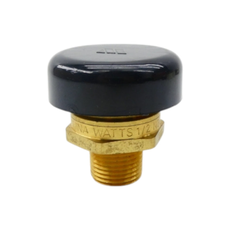 WATTS N36-M115CFM 1/2" NSNP