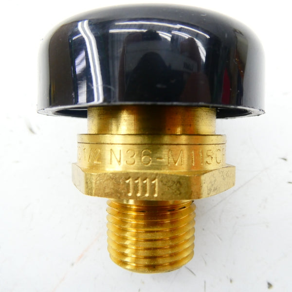 WATTS N36-M115CFM 1/2" NSNP