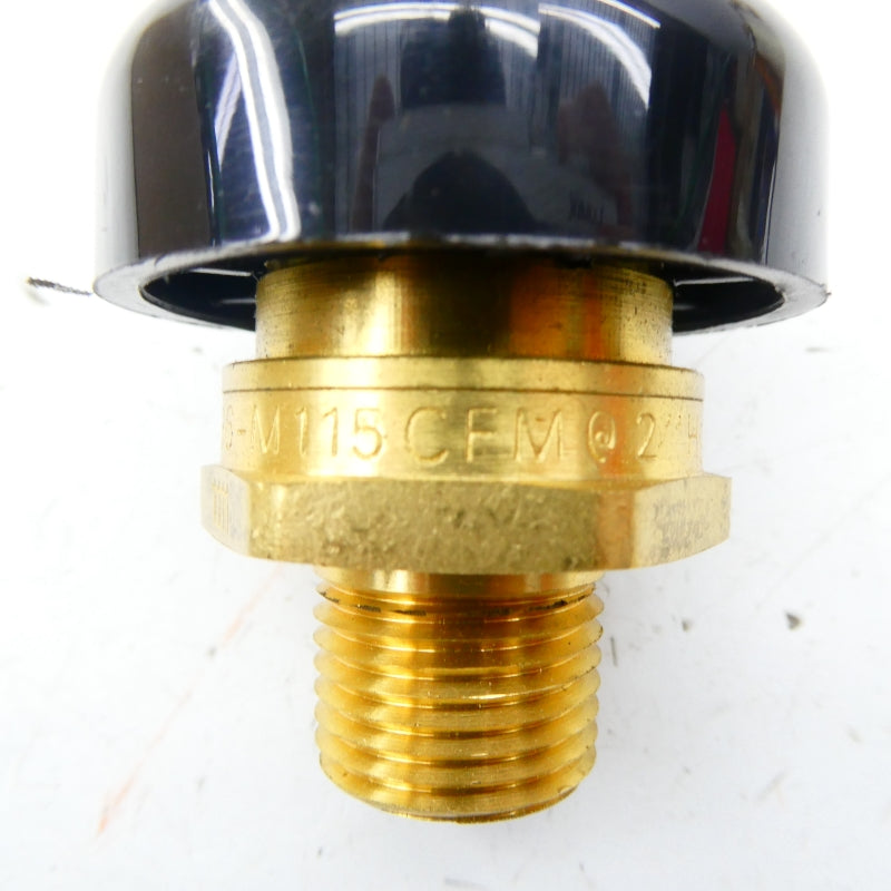 WATTS N36-M115CFM 1/2" NSNP