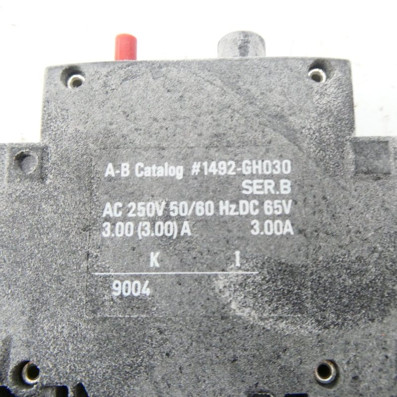 ALLEN BRADLEY 1492-GH030 SER. B 250VAC 3.00A (BK/YL) NSMP