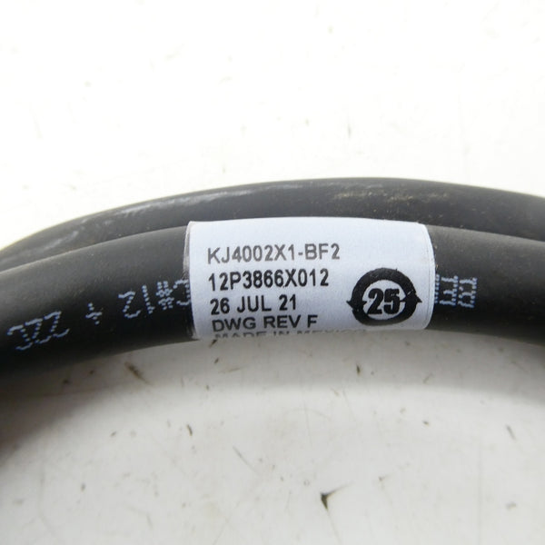 CONNECTOR CABLE KJ4002X1-BF2 12P3866X012 REV. F NSNP