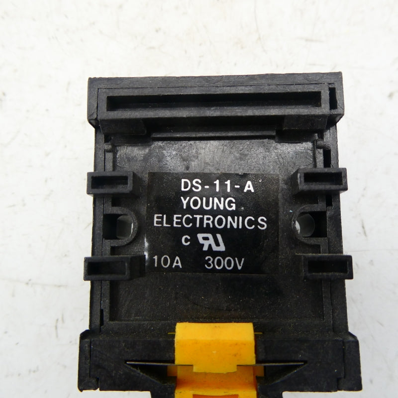 YOUNG ELECTRONICS DS-11-A 300V 10A NSNP