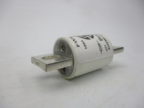 BUSSMANN FWX-100A 250VAC 100A (WH/WH) NSMP