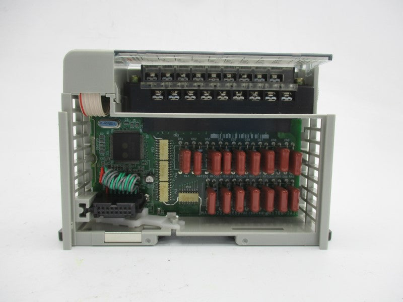 ALLEN BRADLEY 1769-IA16 SER. A F/W 1.1 24VDC REV. 1 NSMP