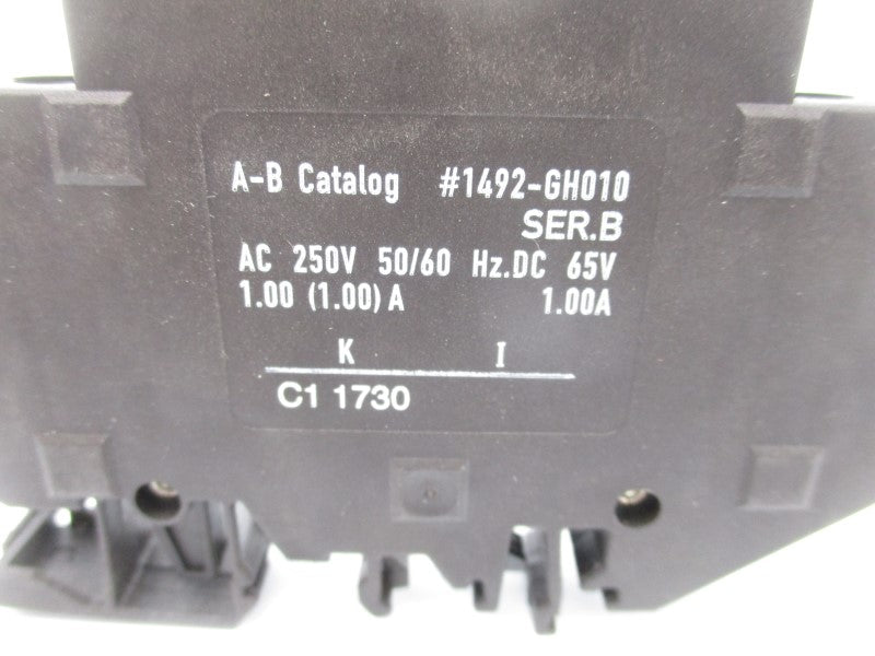 ALLEN BRADLEY 1492-GH010 SER. B 250VAC 1.0A (WH) NSMP