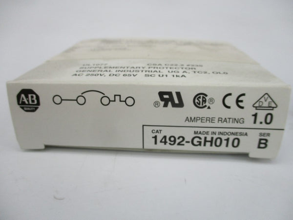 ALLEN BRADLEY 1492-GH010 SER. B 250VAC 1.0A (WH) NSMP