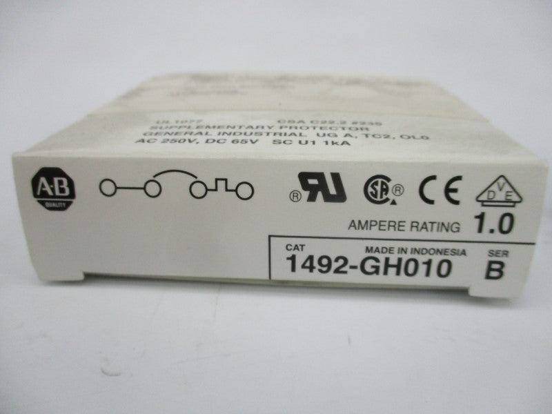 ALLEN BRADLEY 1492-GH010 SER. B 250VAC 1.0A (WH) NSMP