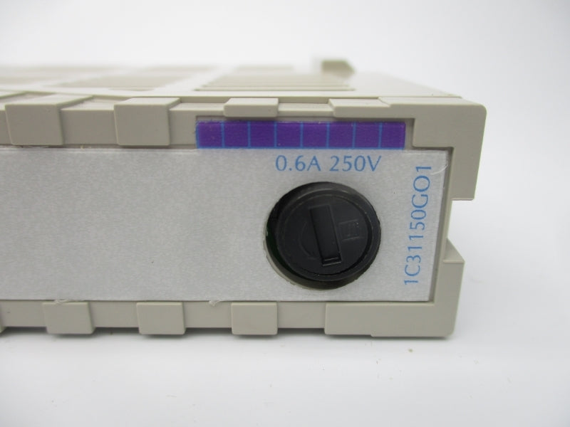 WESTINGHOUSE 1C31150GO1 250V 0.6A REV. 03 NSNP