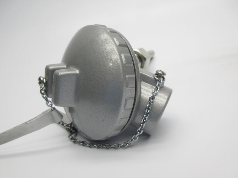 BURNS 300L10A2AN020RT202/MT02/TA21 NSNP