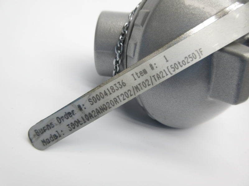 BURNS 300L10A2AN020RT202/MT02/TA21 NSNP