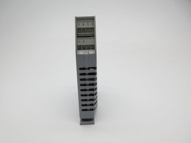 WEISHAUPT 702060/299-999-000-23/ 250VAC 3A NSNP