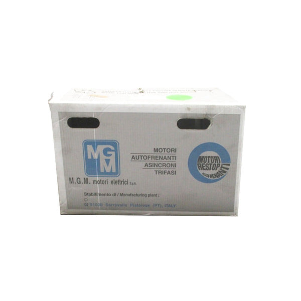 M.G.M. MOTORI 107T-13051000107TU BAX 100 LA4 200/230V 9.6/8.6A NSMP