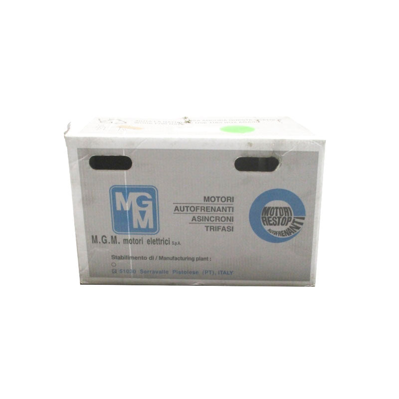 M.G.M. MOTORI 107T-13051000107TU BAX 100 LA4 200/230V 9.6/8.6A NSMP