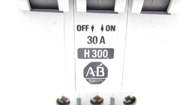 ALLEN BRADLEY 1492-CB3H300 SER. B 30A 480VAC NSNP