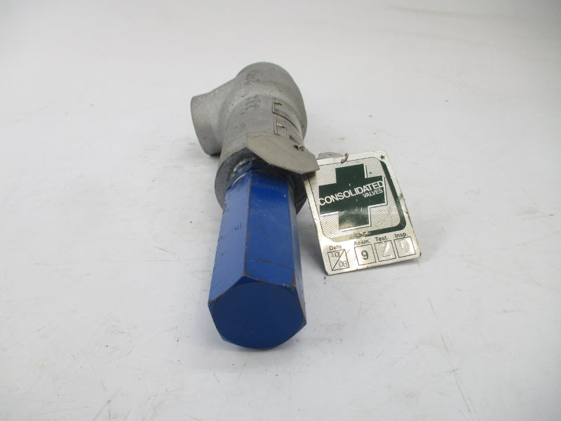 DRESSER 19096MC0-1-CC-DA-31-MT-FT-GS 700PSI UNMP