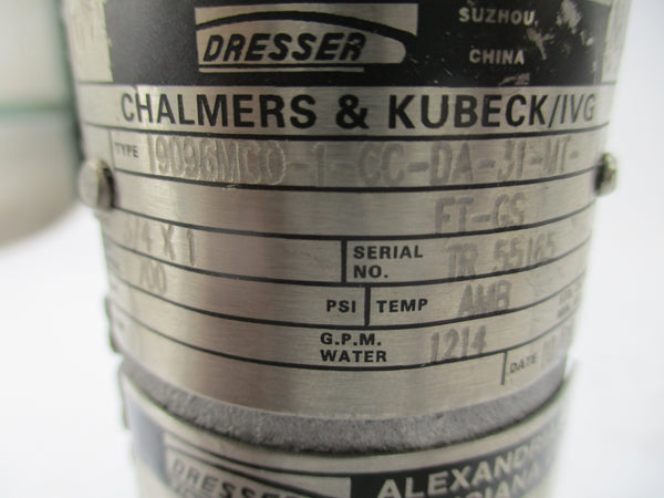 DRESSER 19096MC0-1-CC-DA-31-MT-FT-GS 700PSI UNMP