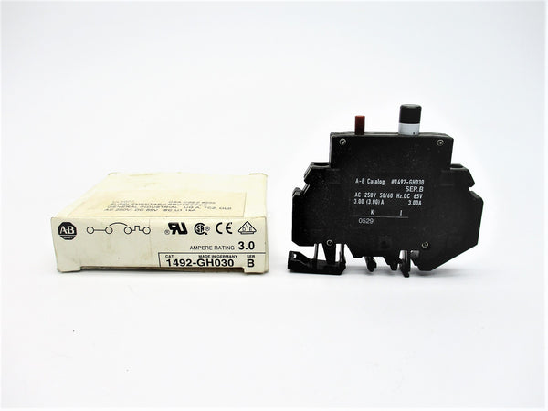 ALLEN BRADLEY 1492-GH030 SER. B 250V 3.00A (WH) NSMP