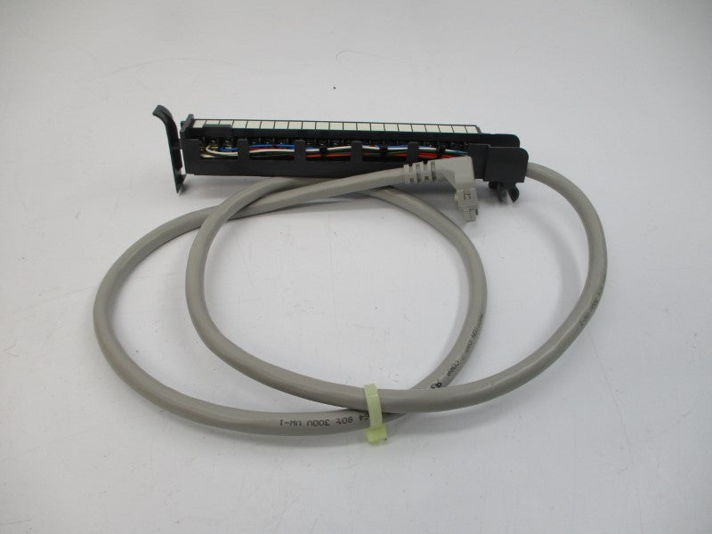 ALLEN BRADLEY 1492-CABLE010F SER. C (BR/WH) NSMP