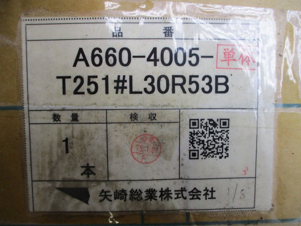 FANUC A660-4005-T251#L30R53B NSMP