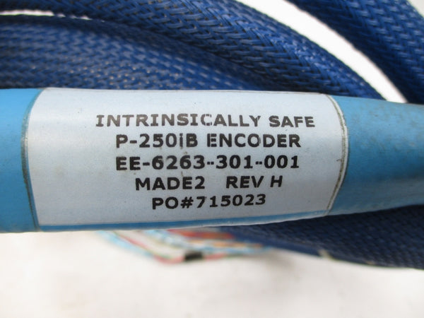 FANUC ROBOTICS EE-6263-301-001 REV. H NSNP