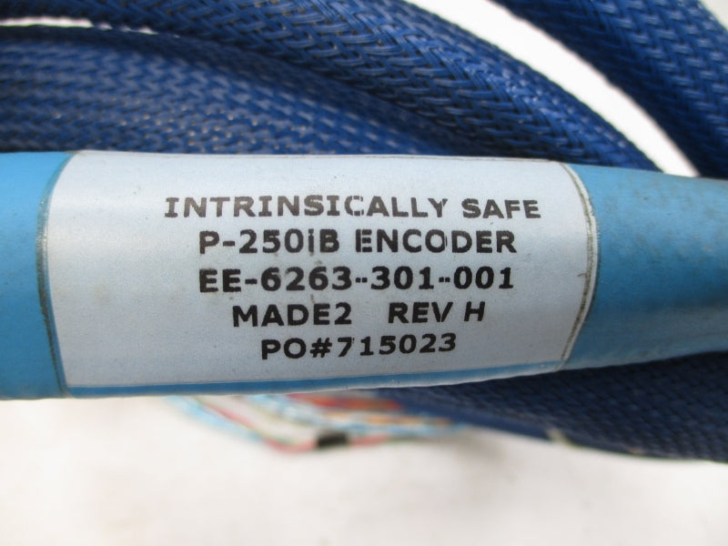 FANUC ROBOTICS EE-6263-301-001 REV. H NSNP