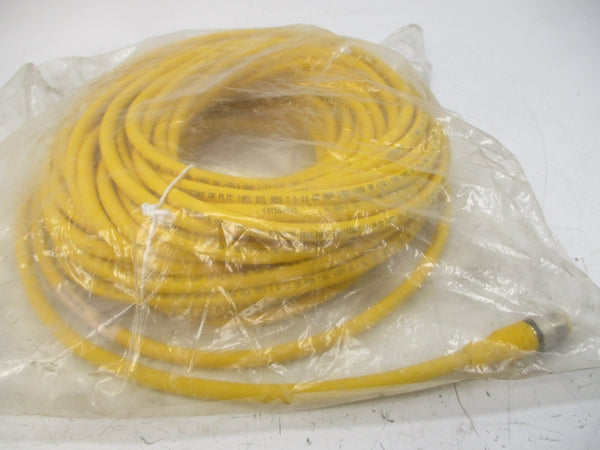 TURCK RKC4.2T-25-RSC4.2T/CS12885 U2-18490 250V 4A NSMP