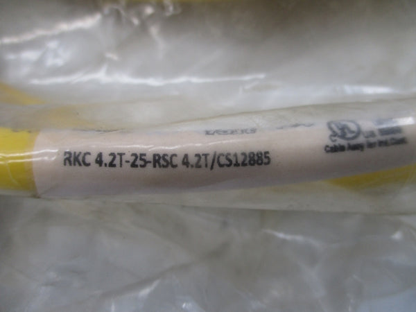 TURCK RKC4.2T-25-RSC4.2T/CS12885 U2-18490 250V 4A NSMP