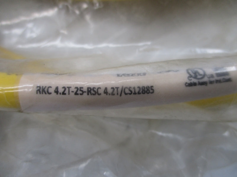 TURCK RKC4.2T-25-RSC4.2T/CS12885 U2-18490 250V 4A NSMP