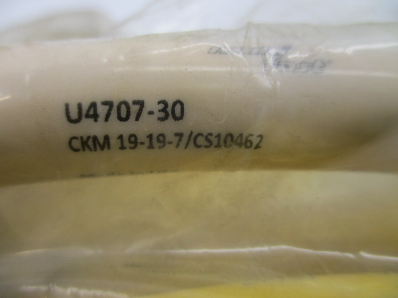 TURCK CKM19-19-7/CS10462 U4707-30 NSMP