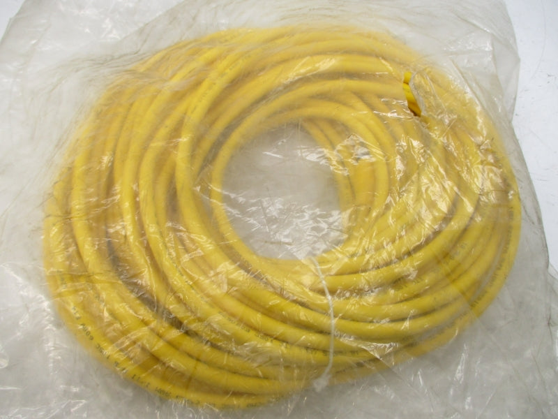 TURCK RKE4.5T-25-RSE4.5T/S3060 U2-16620 250V 4A NSMP