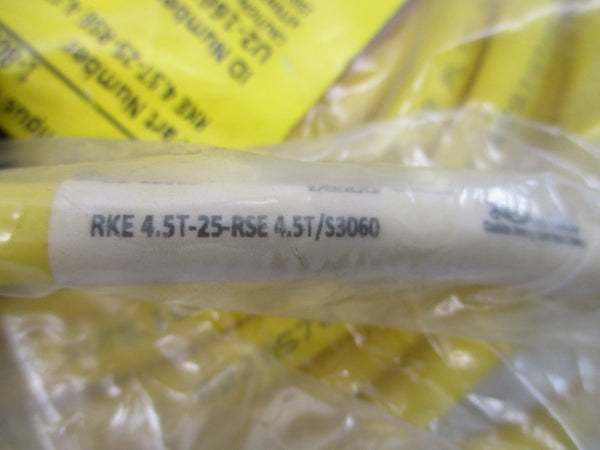 TURCK RKE4.5T-25-RSE4.5T/S3060 U2-16620 250V 4A NSMP