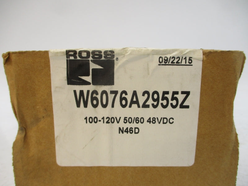 ROSS W6076A2955Z 110-120V NSFS