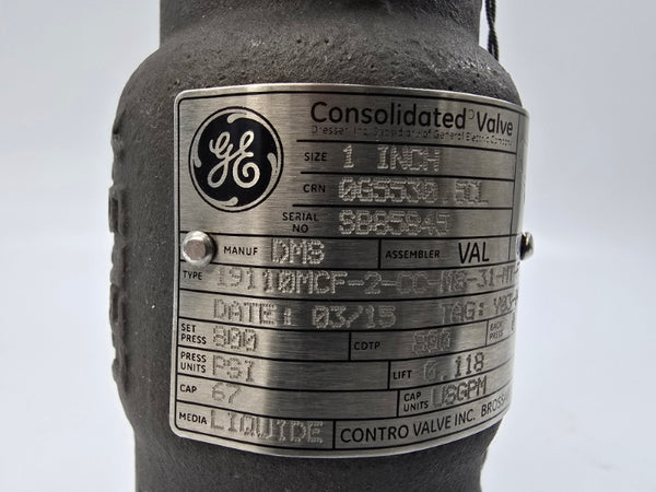 GENERAL ELECTRIC 19110MCF-2-CC-MS-31-MT-FT-LH 800PSI 1" NSNP