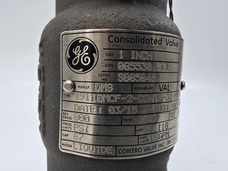 GENERAL ELECTRIC 19110MCF-2-CC-MS-31-MT-FT-LH 800PSI 1" NSNP