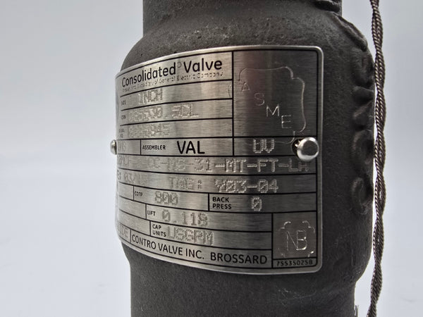 GENERAL ELECTRIC 19110MCF-2-CC-MS-31-MT-FT-LH 800PSI 1" NSNP