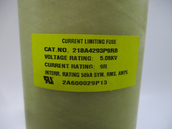 FUSE 218A4293P9RB NSNP