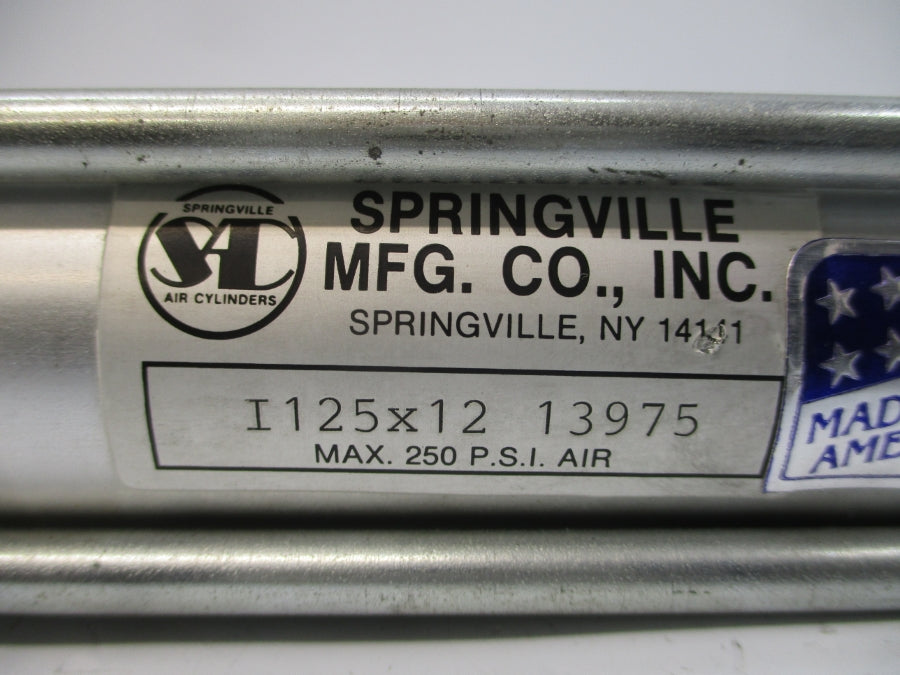 SPRINGVILLE AIR CYLINDERS I125X12 13975 250PSI NSNP