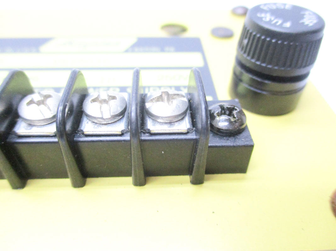 ACOPIAN VB25G30 250V 2/10A NSNP