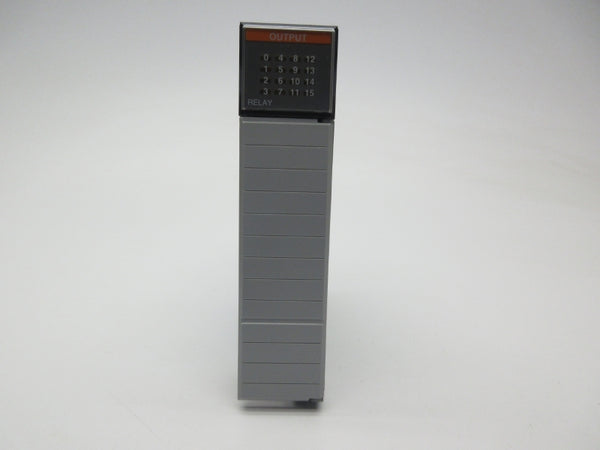 ALLEN BRADLEY 1746-OW16 SER. D 5-265VAC 15A NSMP