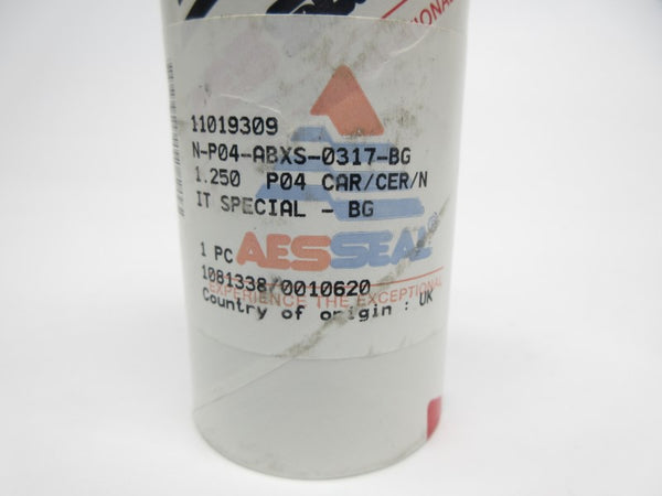 AESSEAL N-P04-ABXS-0317-BG NSMP