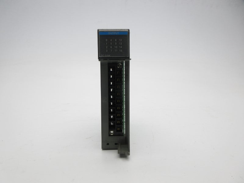 ALLEN BRADLEY 1746-OV16 SER. C 10-50VDC (NO DOOR) UNMP